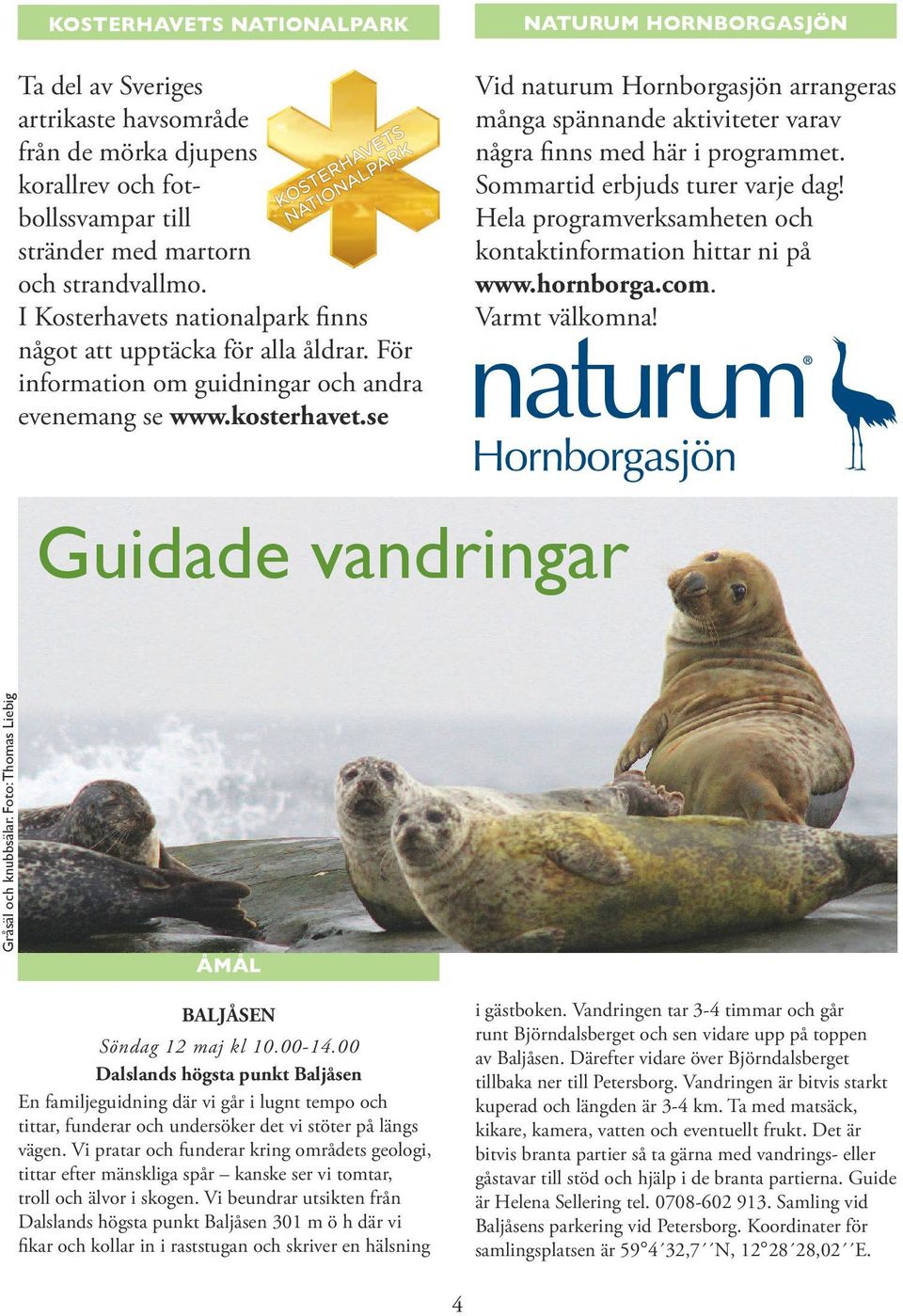 se NATURUM HORNBORGASJÖN Vid naturum Hornborgasjön arrangeras många spännande aktiviteter varav några finns med här i programmet. Sommartid erbjuds turer varje dag!