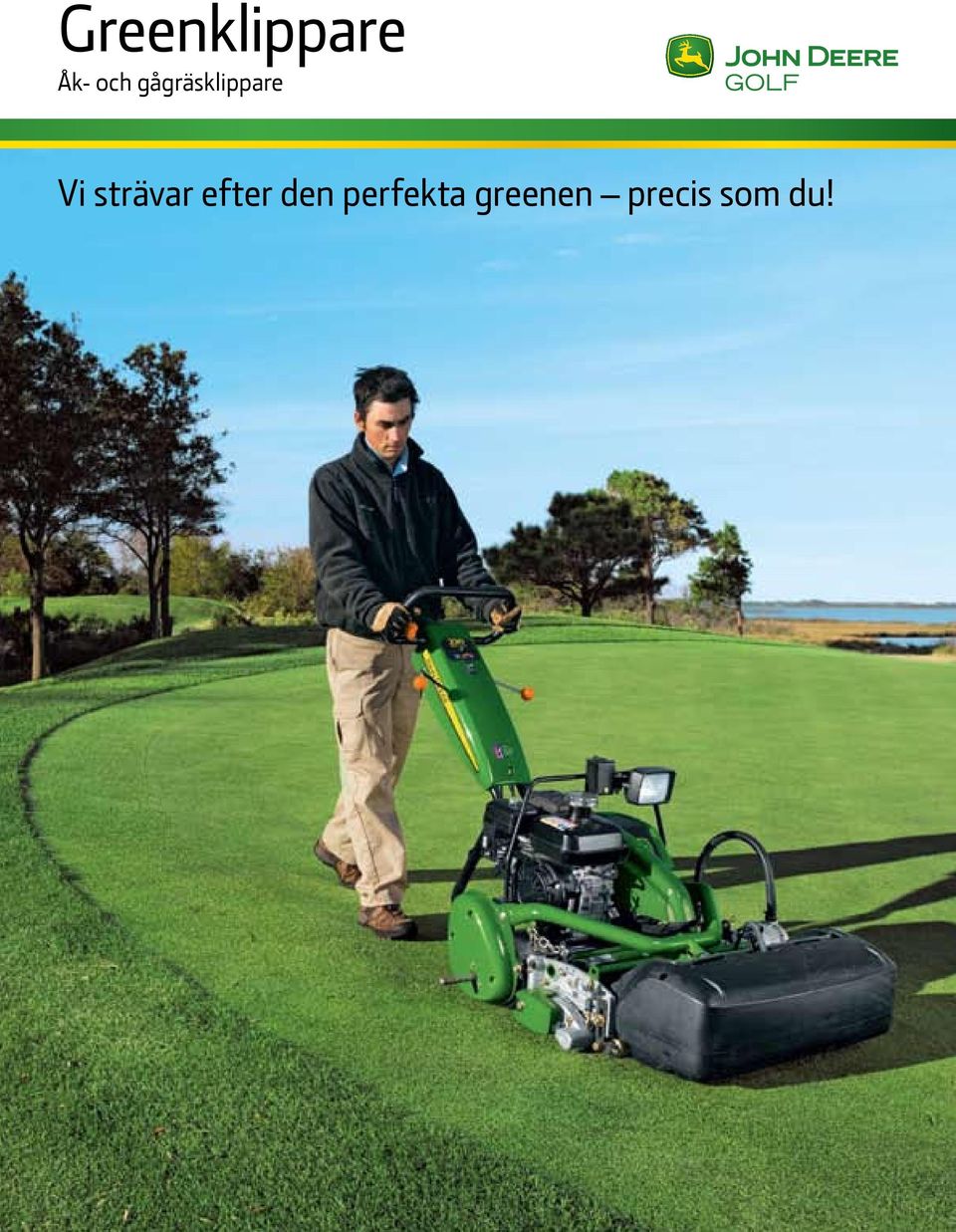 strävar efter den