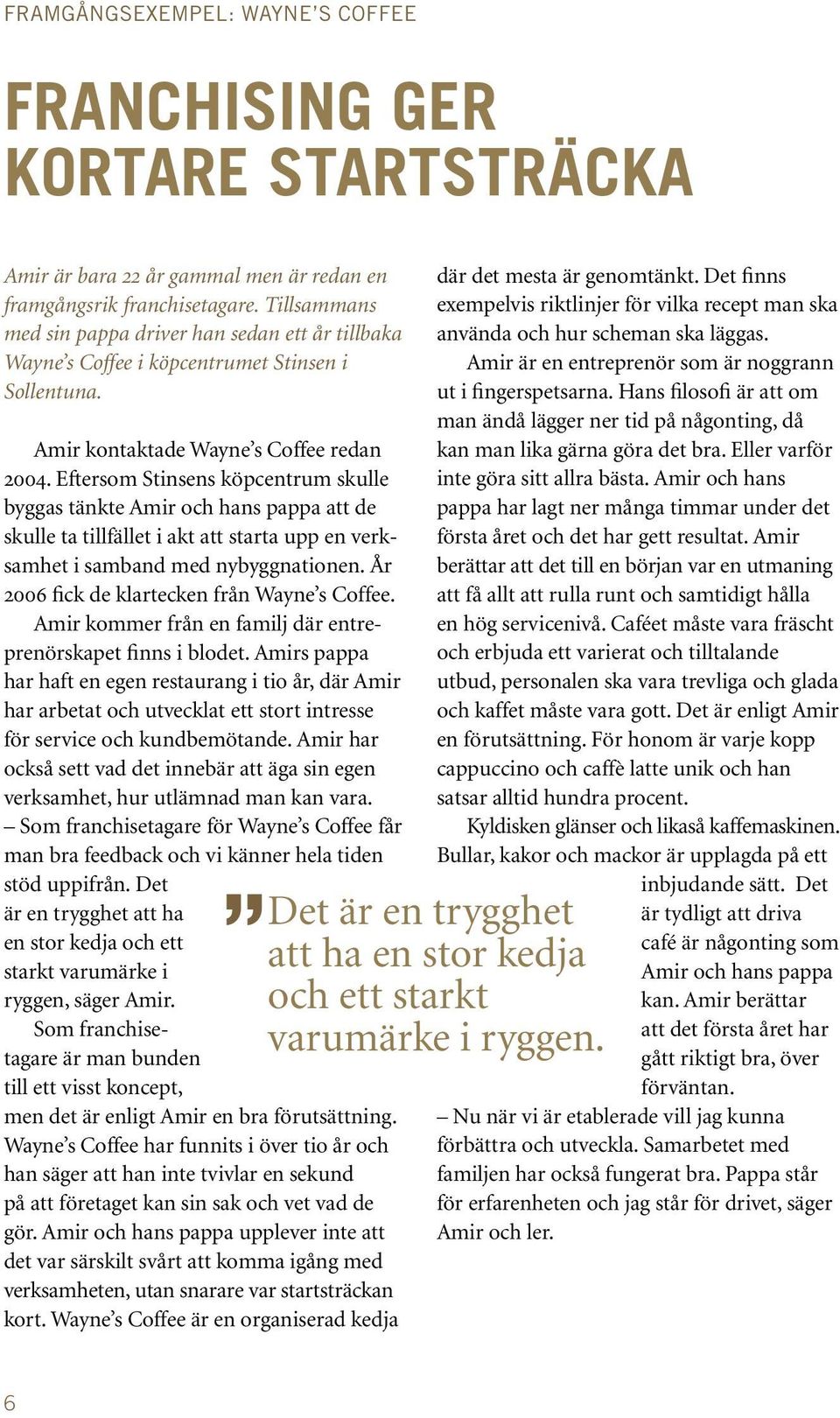 Eftersom Stinsens köpcentrum skulle byggas tänkte Amir och hans pappa att de skulle ta tillfället i akt att starta upp en verksamhet i samband med nybyggnationen.
