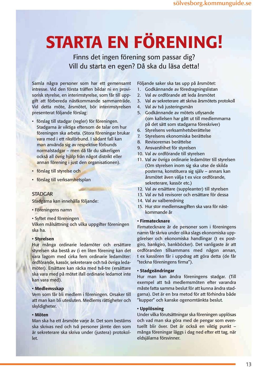 Vid detta möte, årsmötet, bör interimstyrelsen presenterat följande förslag: förslag till stadgar (regler) för föreningen. Stadgarna är viktiga eftersom de talar om hur föreningen ska arbeta.