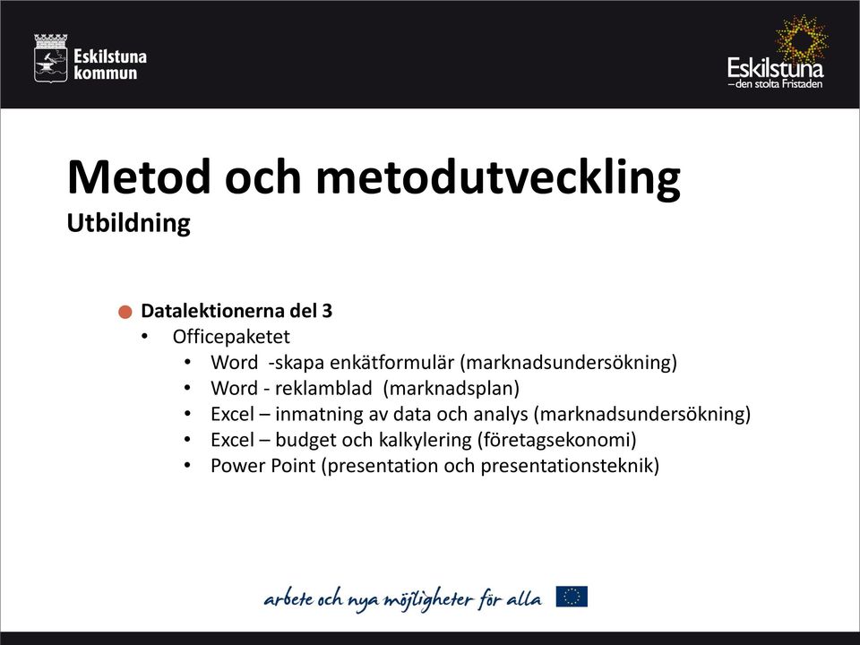 Excel inmatning av data och analys (marknadsundersökning) Excel budget och