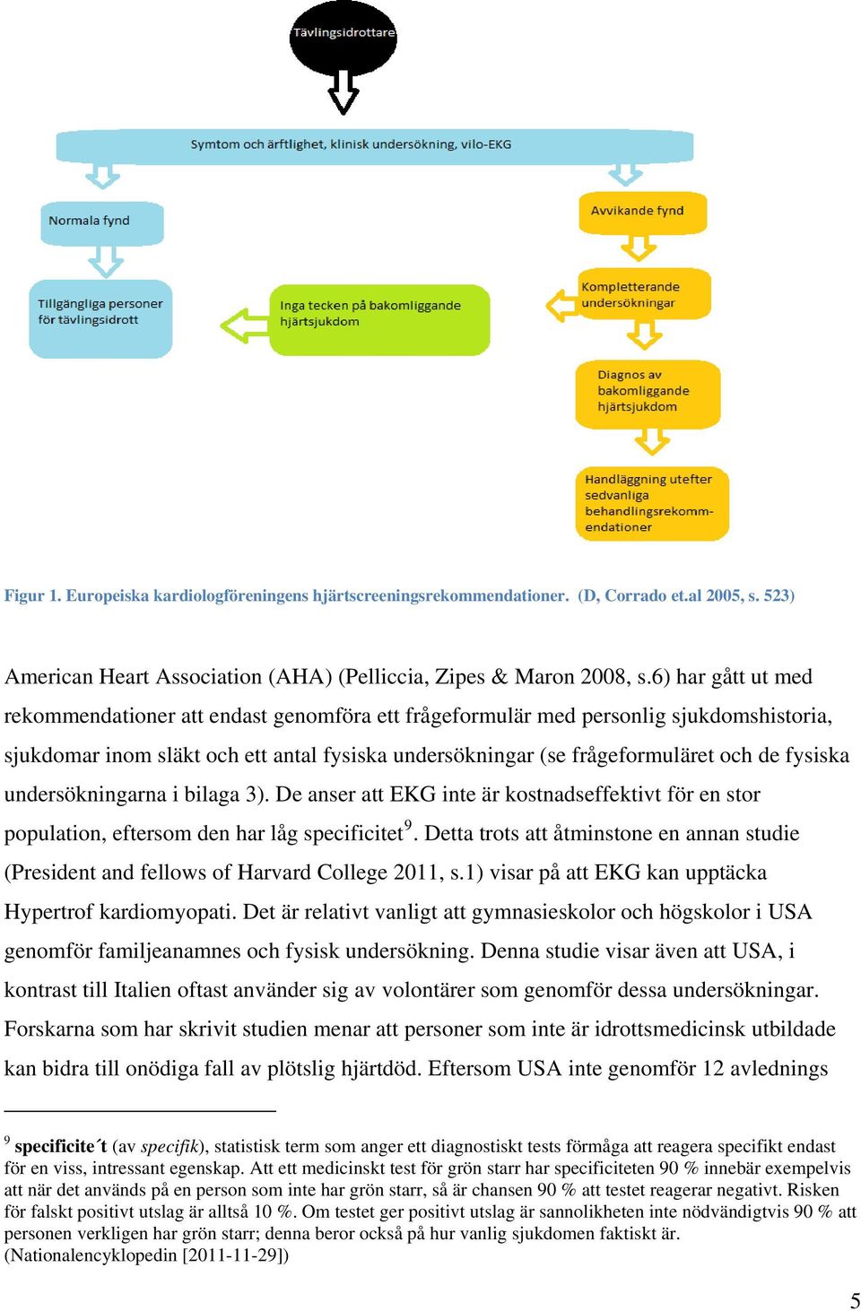 undersökningarna i bilaga 3). De anser att EKG inte är kostnadseffektivt för en stor population, eftersom den har låg specificitet 9.