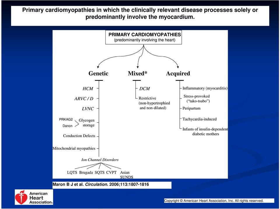 myocardium. Maron B J et al. Circulation.