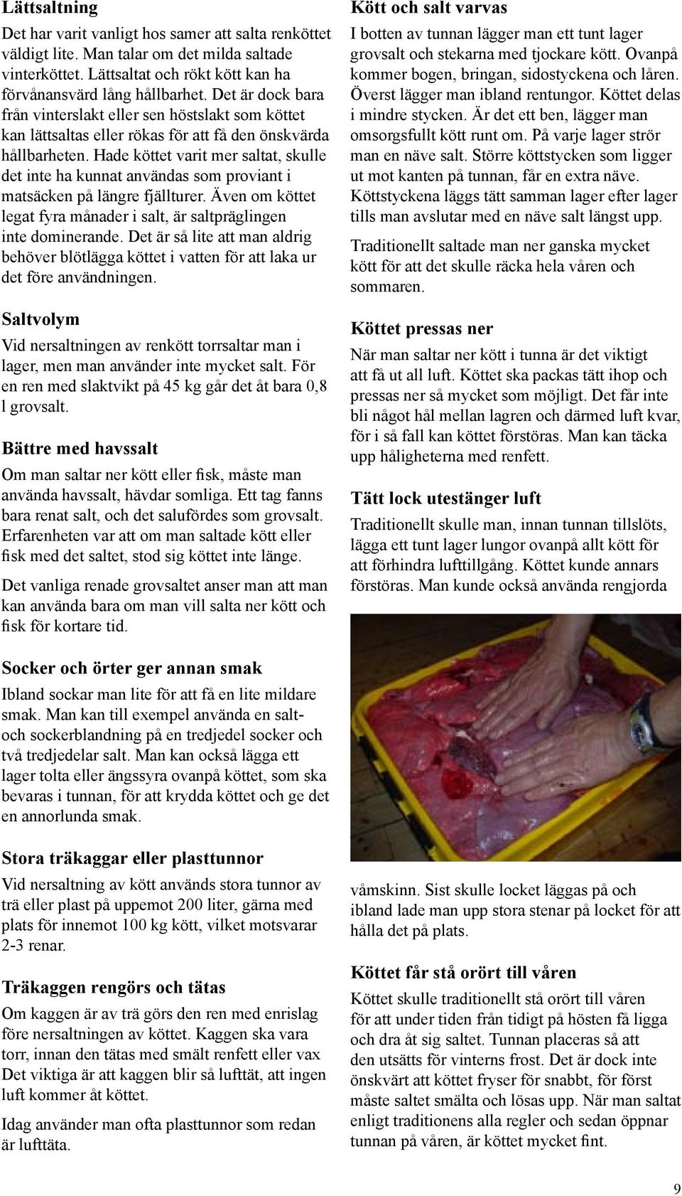 Hade köttet varit mer saltat, skulle det inte ha kunnat användas som proviant i matsäcken på längre fjällturer. Även om köttet legat fyra månader i salt, är saltpräglingen inte dominerande.