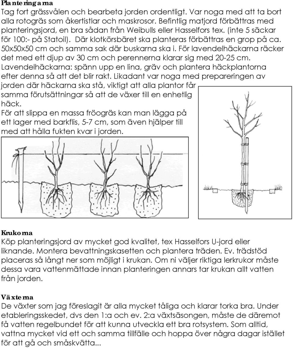 50x50x50 cm och samma sak där buskarna ska i. För lavendelhäckarna räcker det med ett djup av 30 cm och perennerna klarar sig med 20-25 cm.