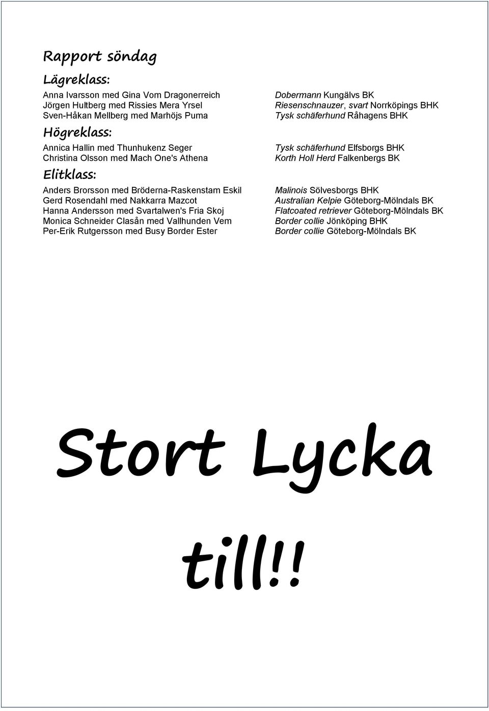 med Vallhunden Vem Per-Erik Rutgersson med Busy Border Ester Dobermann Kungälvs BK Riesenschnauzer, svart Norrköpings BHK Tysk schäferhund Råhagens BHK Tysk schäferhund Elfsborgs BHK Korth Holl