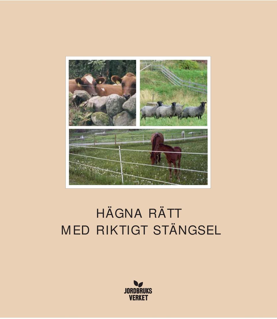 RIKTIGT