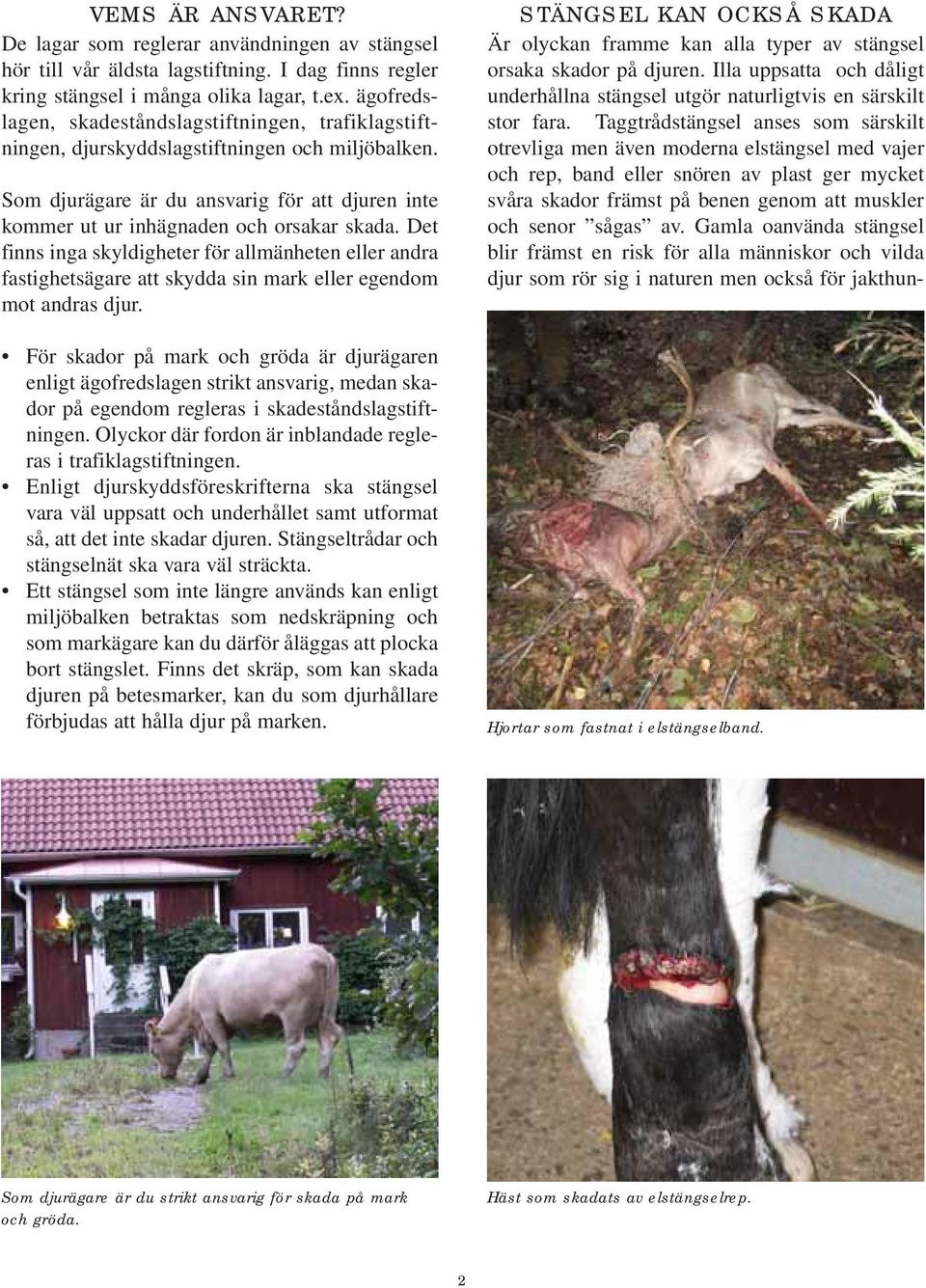 Det finns inga skyldigheter för allmänheten eller andra fastighetsägare att skydda sin mark eller egendom mot andras djur.