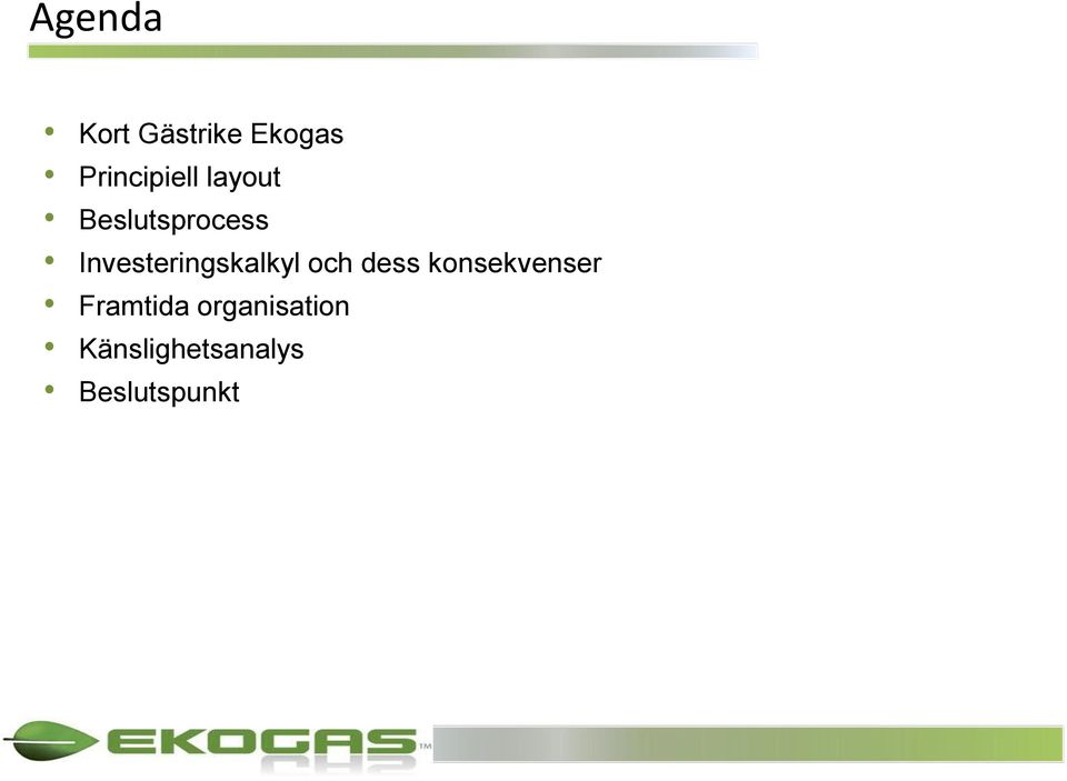 Investeringskalkyl och dess