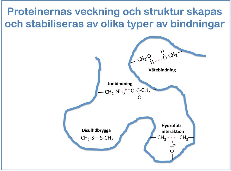 Jonbindning CH 2 - NH 3 + - O- C- CH 2 O II