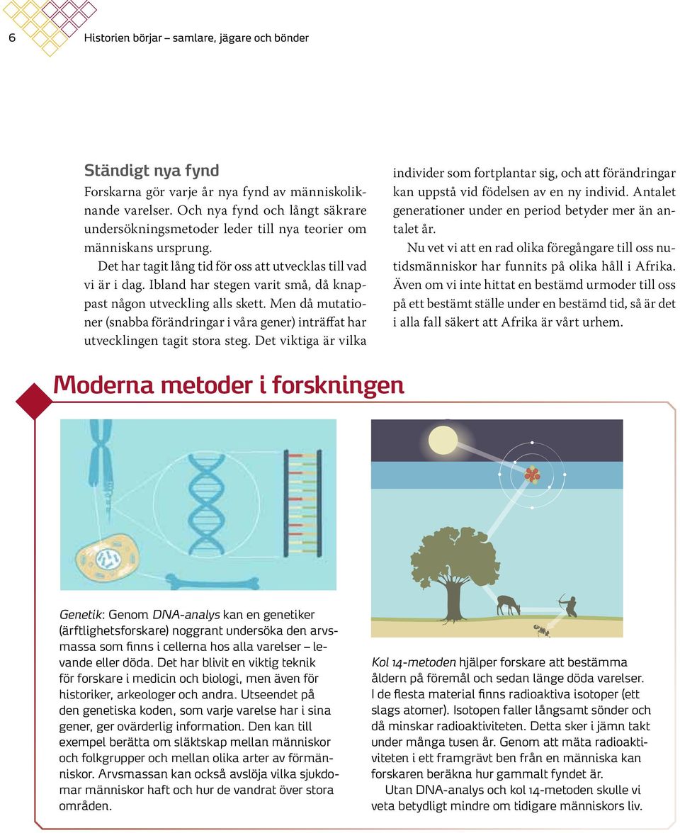 Ibland har stegen varit små, då knappast någon utveckling alls skett. Men då mutationer (snabba förändringar i våra gener) inträffat har utvecklingen tagit stora steg.