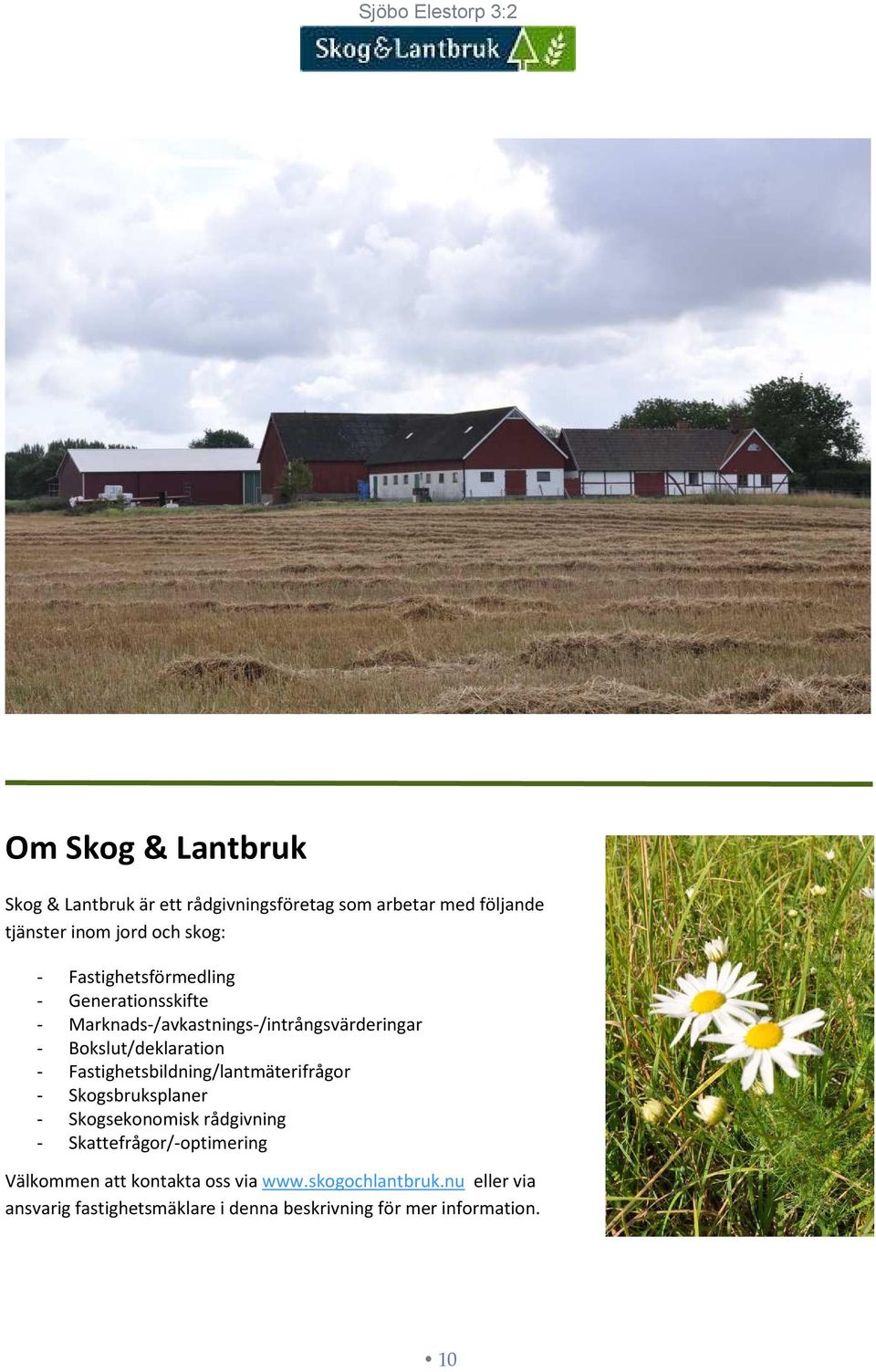 Fastighetsbildning/lantmäterifrågor - Skogsbruksplaner - Skogsekonomisk rådgivning - Skattefrågor/-optimering