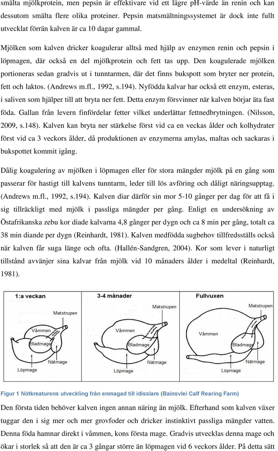 Mjölken som kalven dricker koagulerar alltså med hjälp av enzymen renin och pepsin i löpmagen, där också en del mjölkprotein och fett tas upp.
