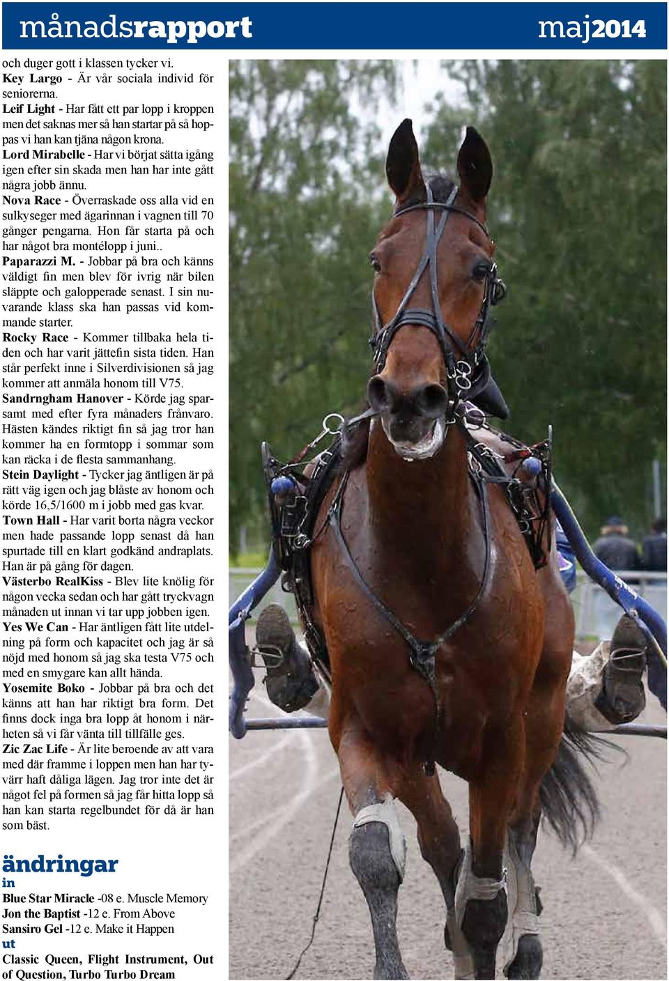 Lord Mirabelle - Har vi börjat sätta igång igen efter sin skada men han har inte gått några jobb ännu.