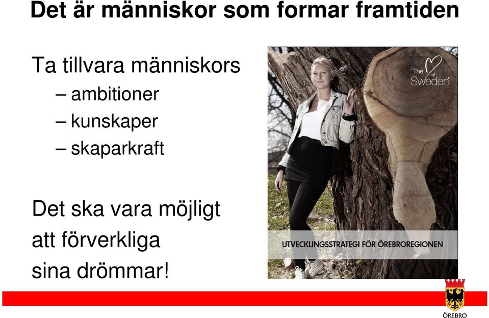 ambitioner kunskaper skaparkraft