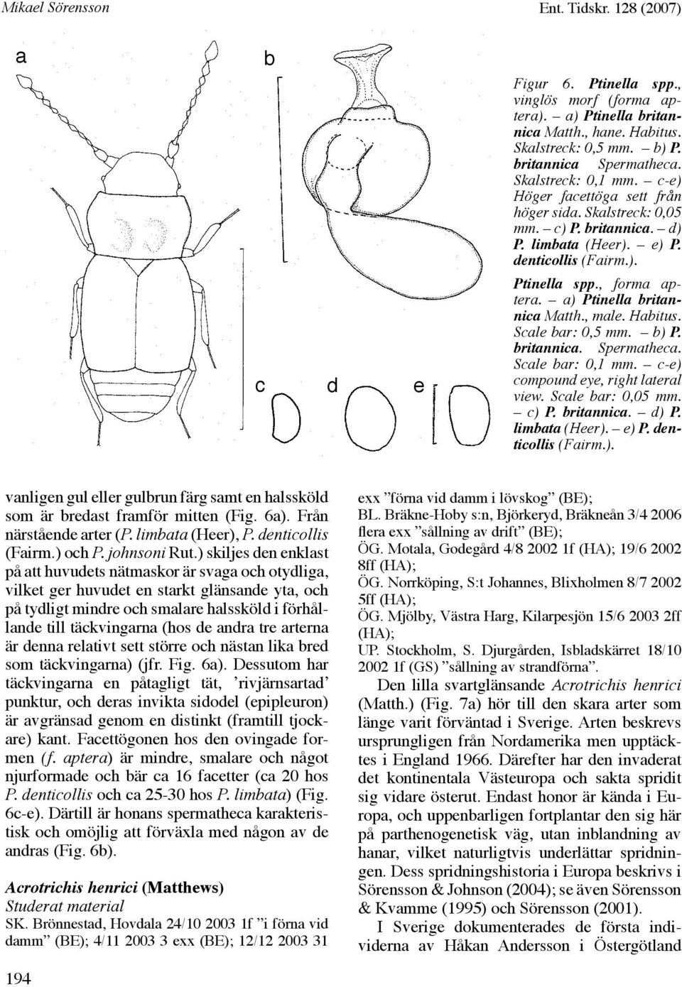 a) Ptinella britannica Matth., male. Habitus. Scale bar: 0,5 mm. b) P. britannica. Spermatheca. Scale bar: 0,1 mm. c-e) compound eye, right lateral view. Scale bar: 0,05 mm. c) P. britannica. d) P.