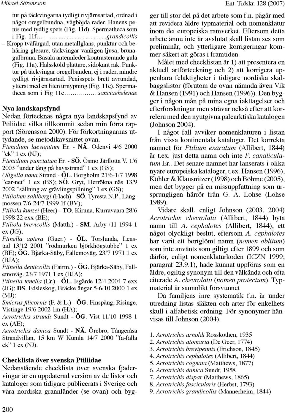 Halssköld plattare, sidokant rak. Punktur på täckvingar oregelbunden, ej i rader, mindre tydligt rivjärnsartad. Penisspets brett avrundad, ytterst med en liten urnypning (Fig. 11c).