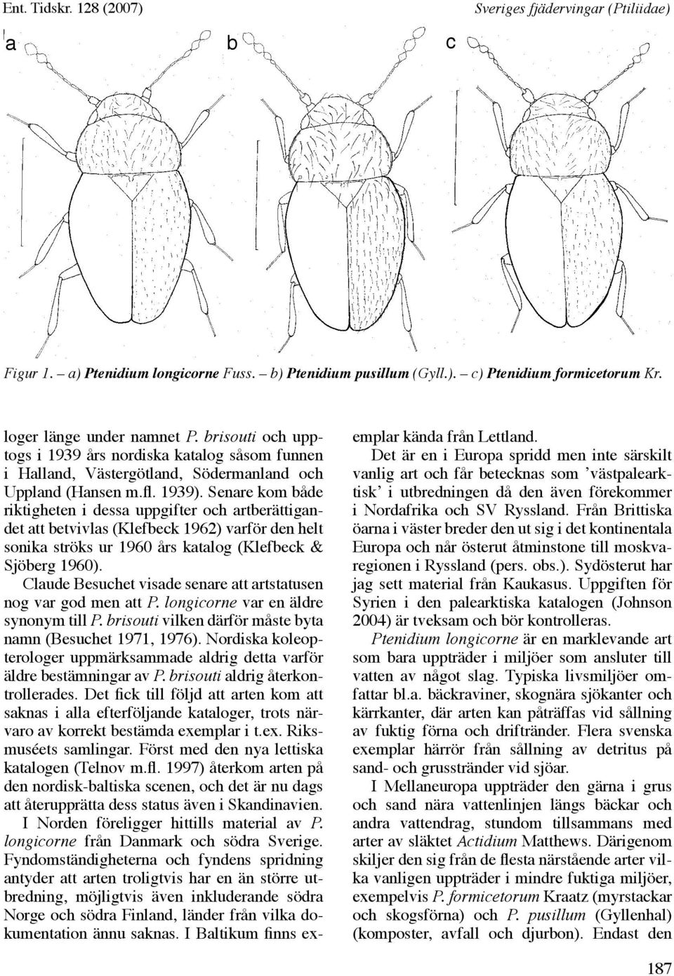 Senare kom både riktigheten i dessa uppgifter och artberättigandet att betvivlas (Klefbeck 1962) varför den helt sonika ströks ur 1960 års katalog (Klefbeck & Sjöberg 1960).