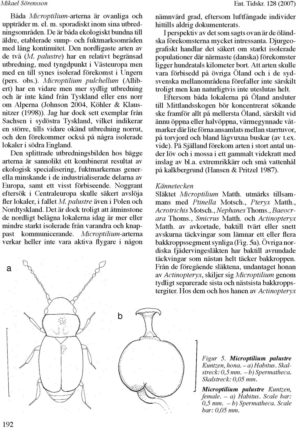 palustre) har en relativt begränsad utbredning, med tyngdpunkt i Västeuropa men med en till synes isolerad förekomst i Ungern (pers. obs.). Microptilium pulchellum (Allibert) har en vidare men mer sydlig utbredning och är inte känd från Tyskland eller ens norr om Alperna (Johnson 2004, Köhler & Klausnitzer (1998)).