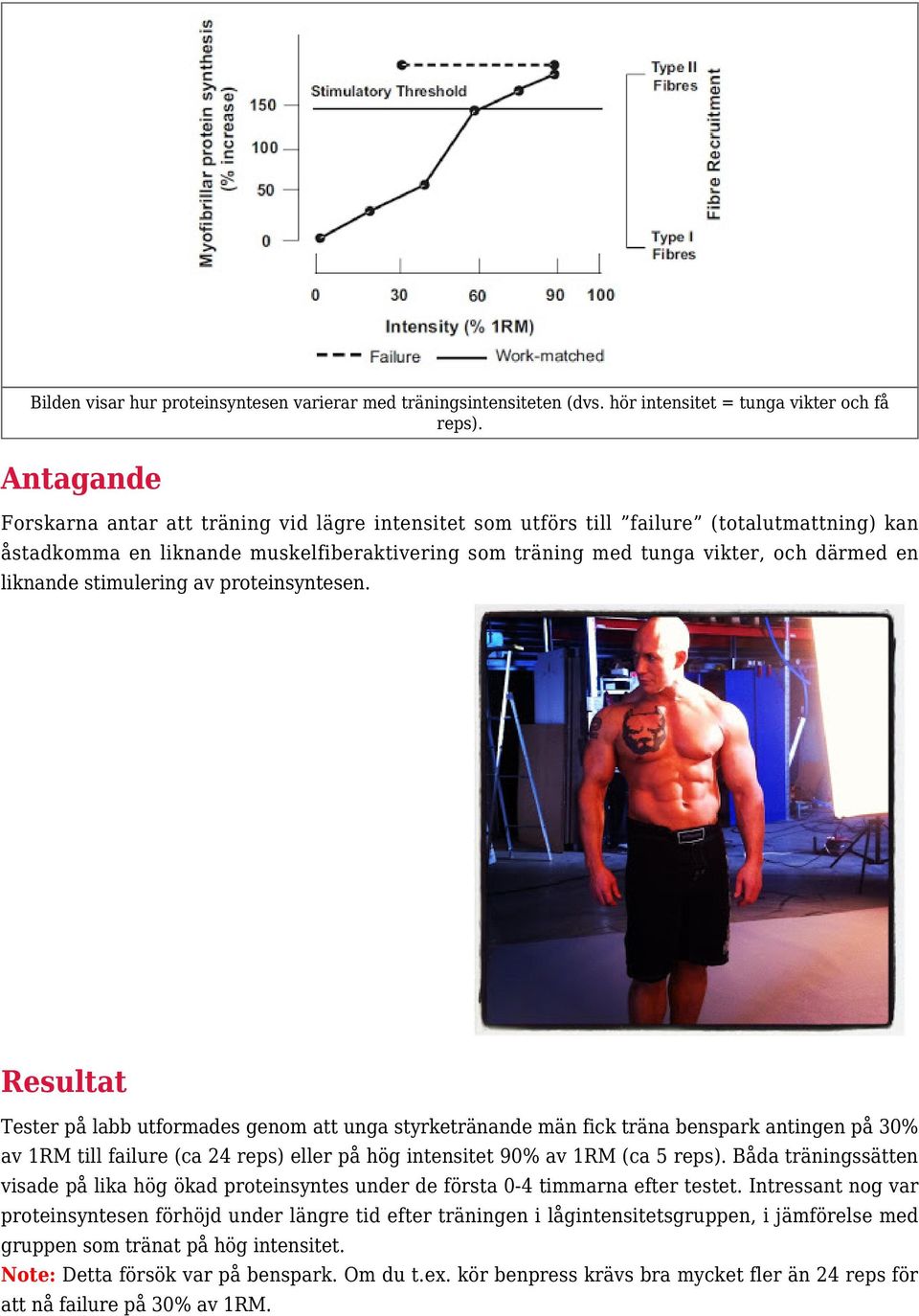 liknande stimulering av proteinsyntesen.