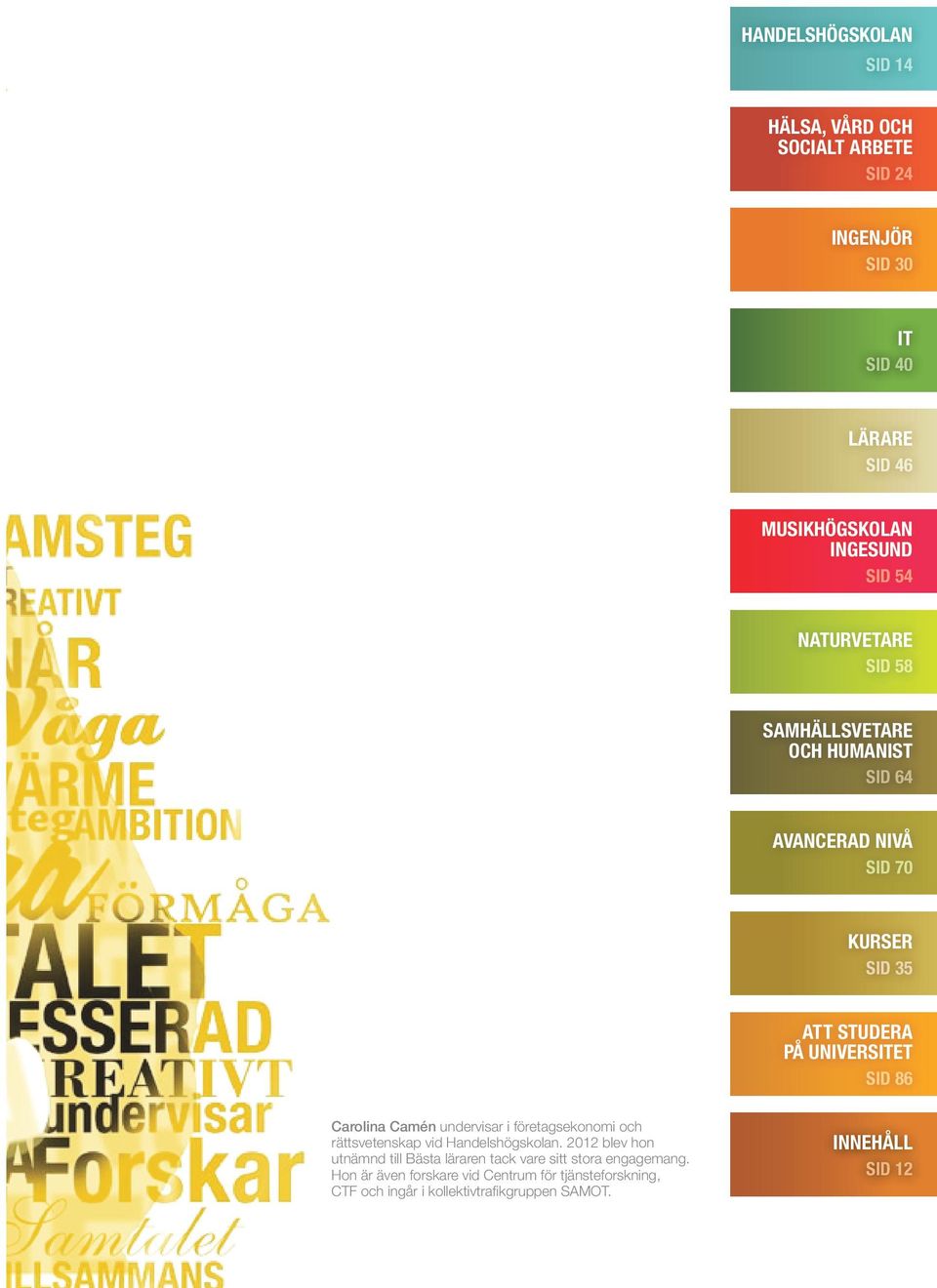 Camén undervisar i företagsekonomi och rättsvetenskap vid Handelshögskolan.