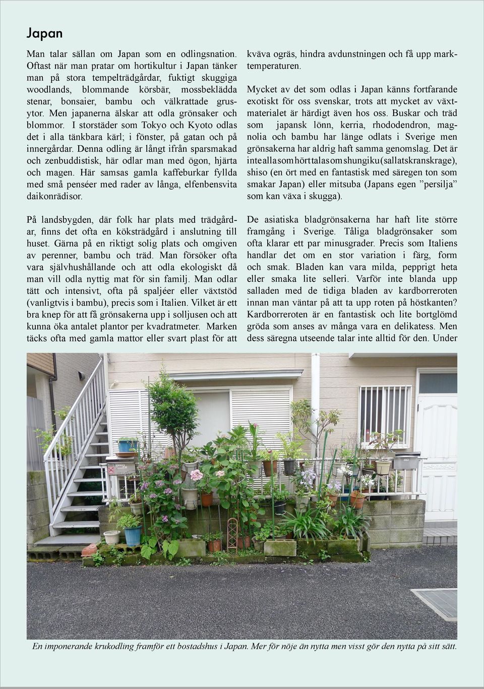 Men japanerna älskar att odla grönsaker och blommor. I storstäder som Tokyo och Kyoto odlas det i alla tänkbara kärl; i fönster, på gatan och på innergårdar.