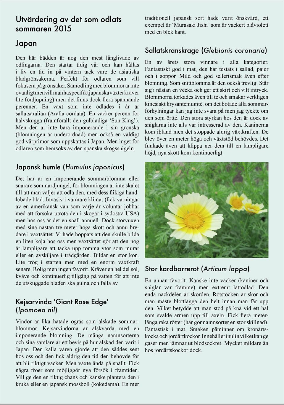 Samodling med blommor är inte ovanligt men vill man ha specifikt japanska växter kräver lite fördjupning) men det finns dock flera spännande perenner.
