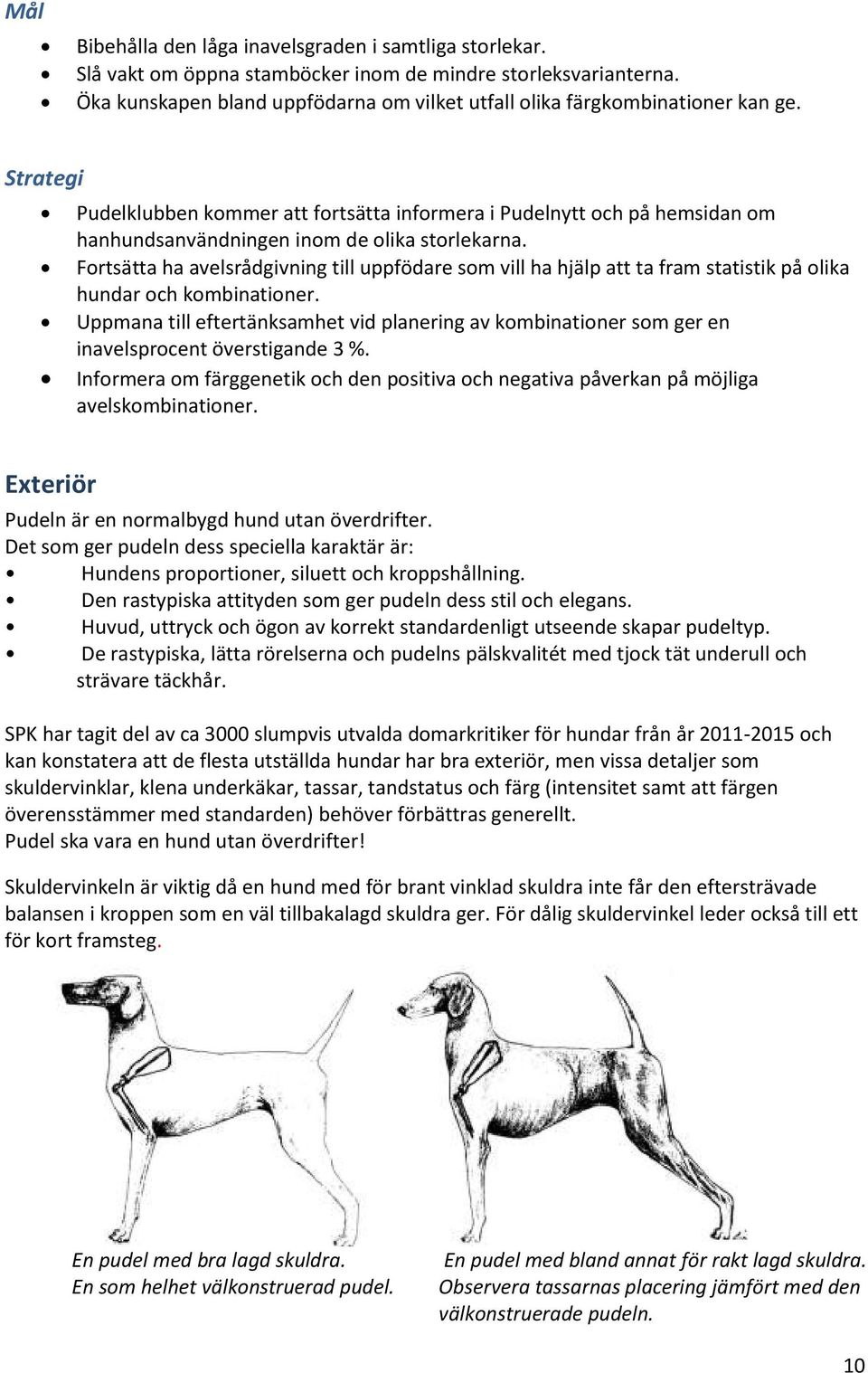 Strategi Pudelklubben kommer att fortsätta informera i Pudelnytt och på hemsidan om hanhundsanvändningen inom de olika storlekarna.