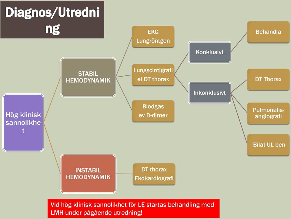 Pulmonalisangiografi Bilat UL ben INSTABIL HEMODYNAMIK DT thorax Ekokardiografi