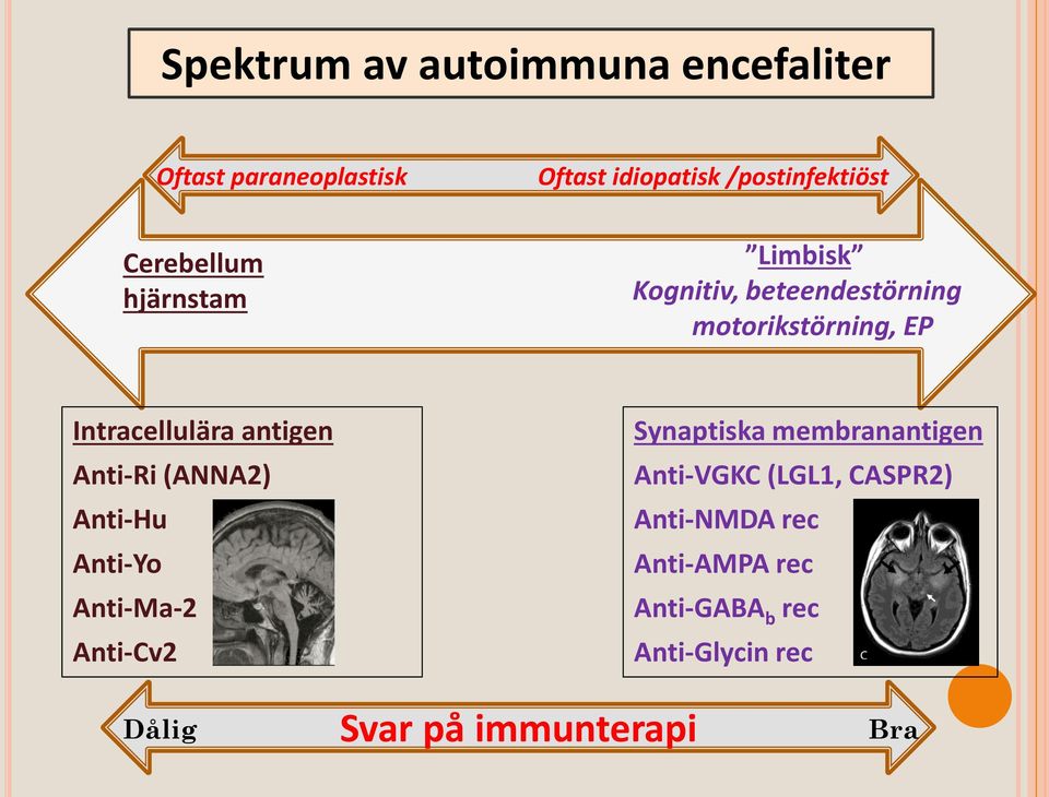 antigen Anti-Ri (ANNA2) Anti-Hu Anti-Yo Anti-Ma-2 Anti-Cv2 Synaptiska membranantigen Anti-VGKC