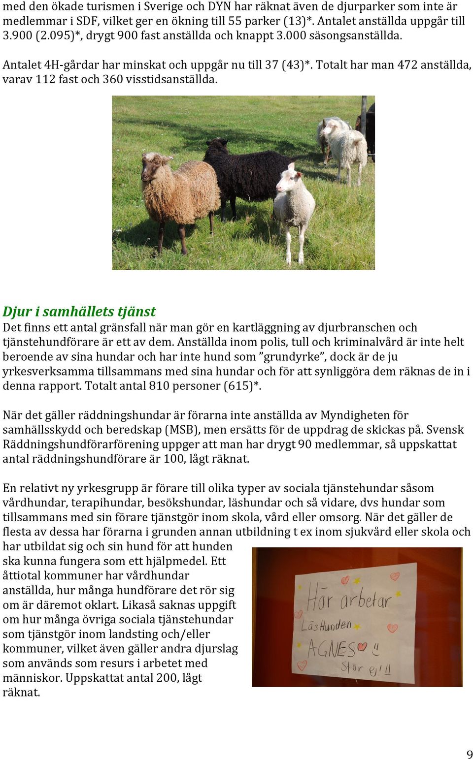 Djur i samhällets tjänst Det finns ett antal gränsfall när man gör en kartläggning av djurbranschen och tjänstehundförare är ett av dem.