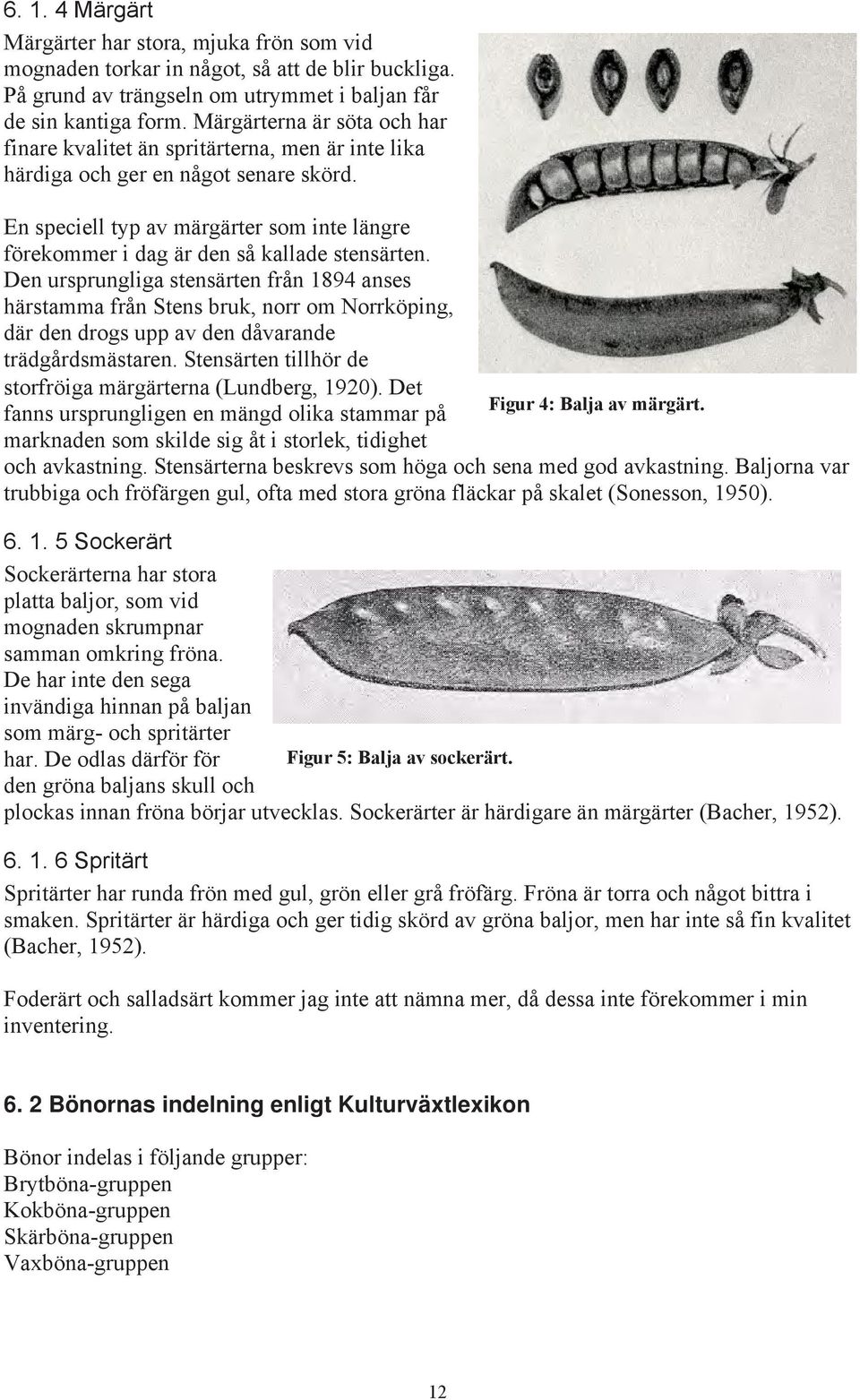 En speciell typ av märgärter som inte längre förekommer i dag är den så kallade stensärten.