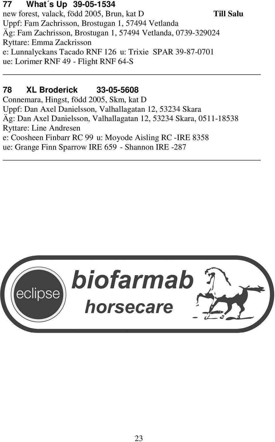 Broderick 33-05-5608 Connemara, Hingst, född 2005, Skm, kat D Uppf: Dan Axel Danielsson, Valhallagatan 12, 53234 Skara Äg: Dan Axel Danielsson,