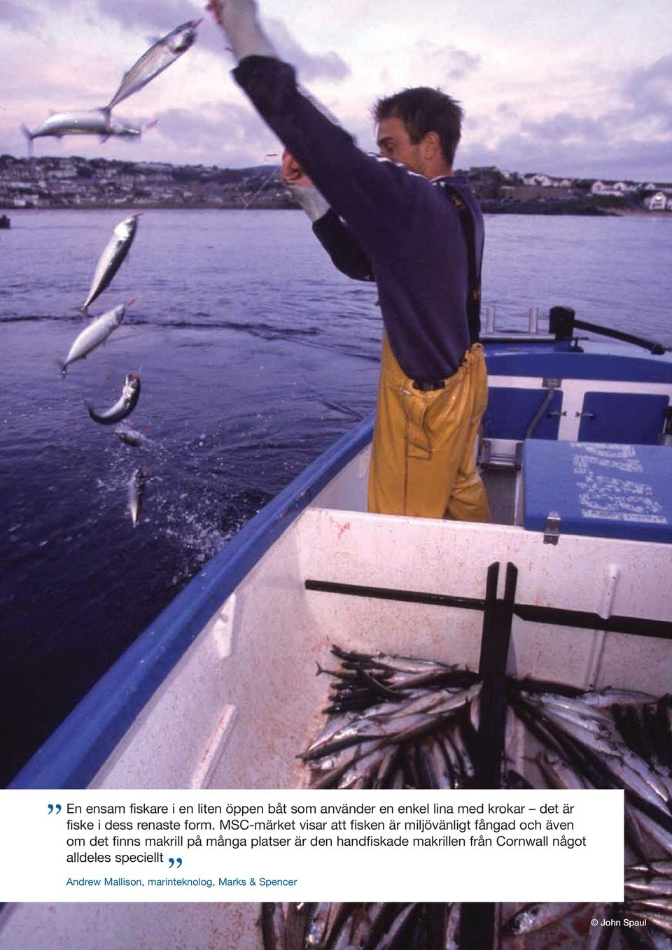 MSC-märket visar att fisken är miljövänligt fångad och även om det finns makrill på