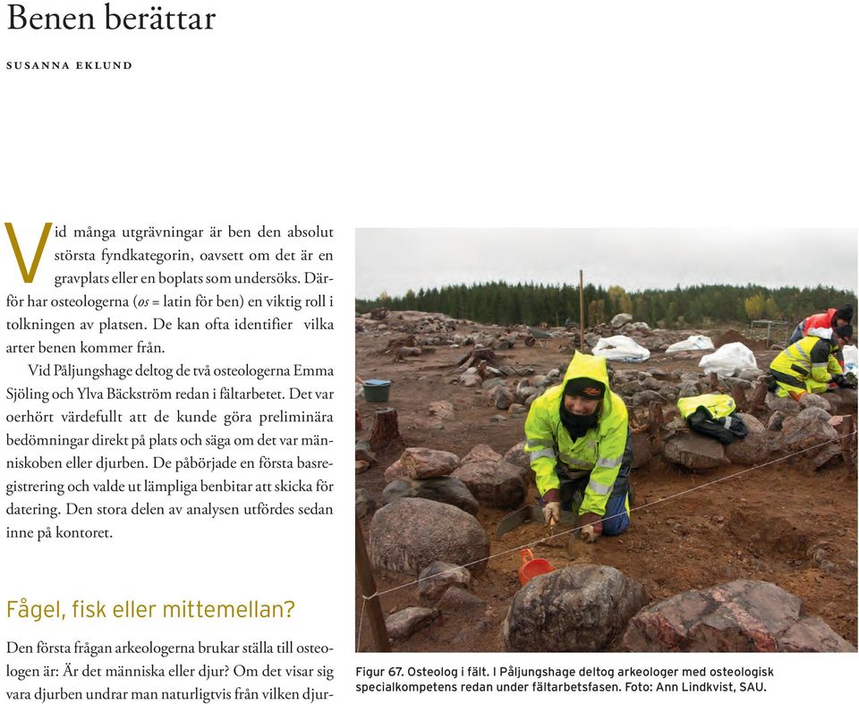 Vid Påljungshage deltog de två osteologerna Emma Sjöling och Ylva Bäckström redan i fältarbetet.