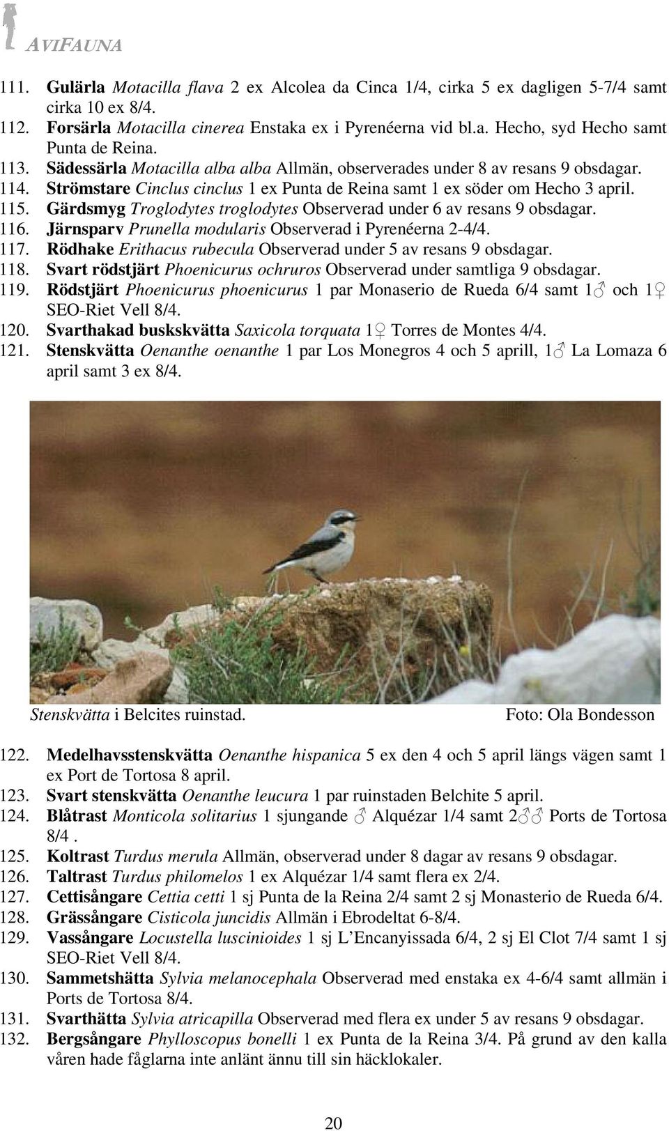 Gärdsmyg Troglodytes troglodytes Observerad under 6 av resans 9 obsdagar. 116. Järnsparv Prunella modularis Observerad i Pyrenéerna 2-4/4. 117.
