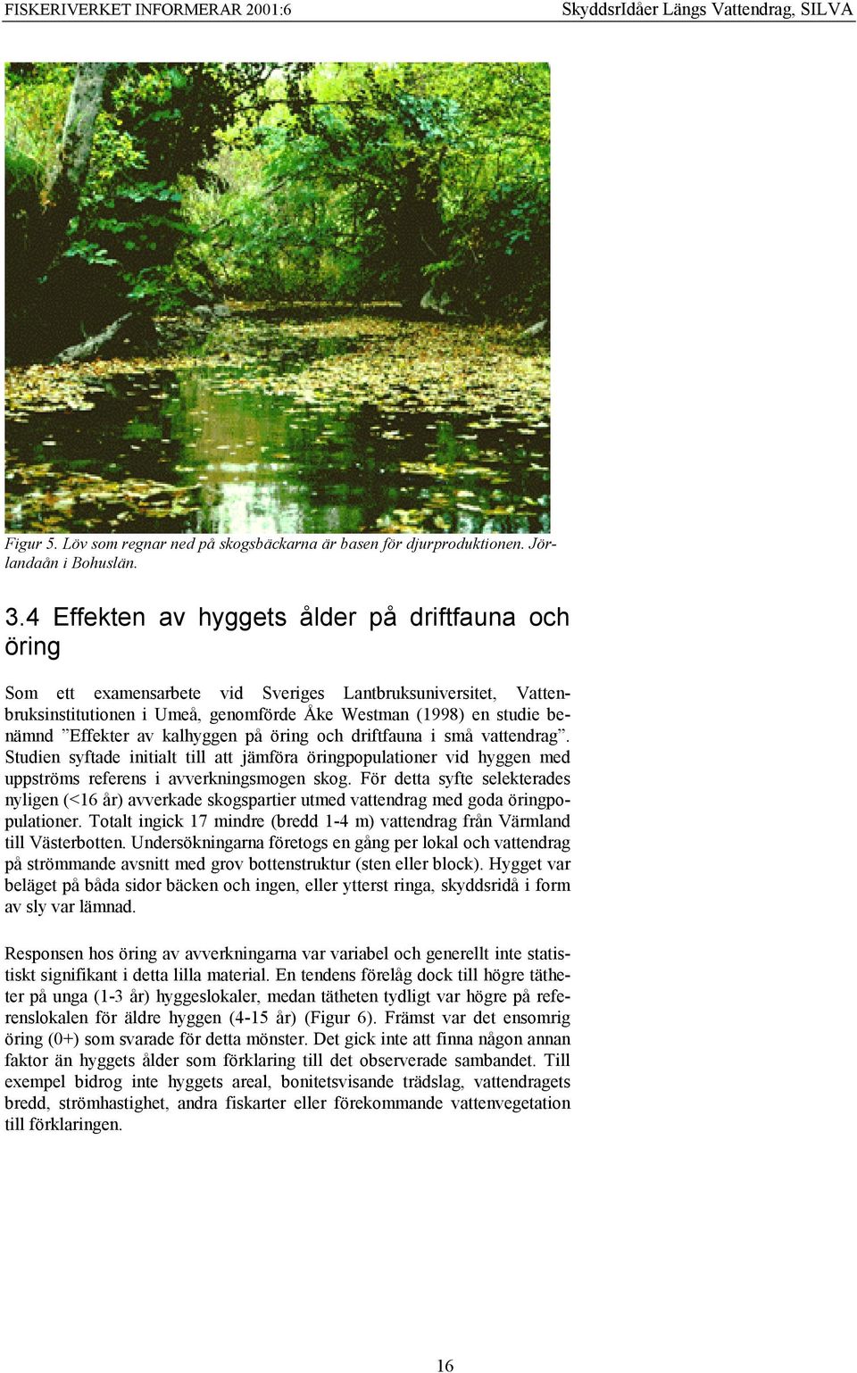 av kalhyggen på öring och driftfauna i små vattendrag. Studien syftade initialt till att jämföra öringpopulationer vid hyggen med uppströms referens i avverkningsmogen skog.