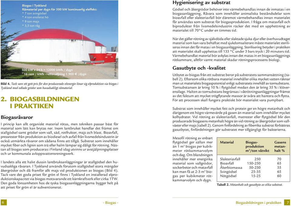 Tack vare ett gott pris för den producerade elenergin lönar sig elproduktion via biogas i Tyskland med odlade grödor som huvudsakligt råmaterial.