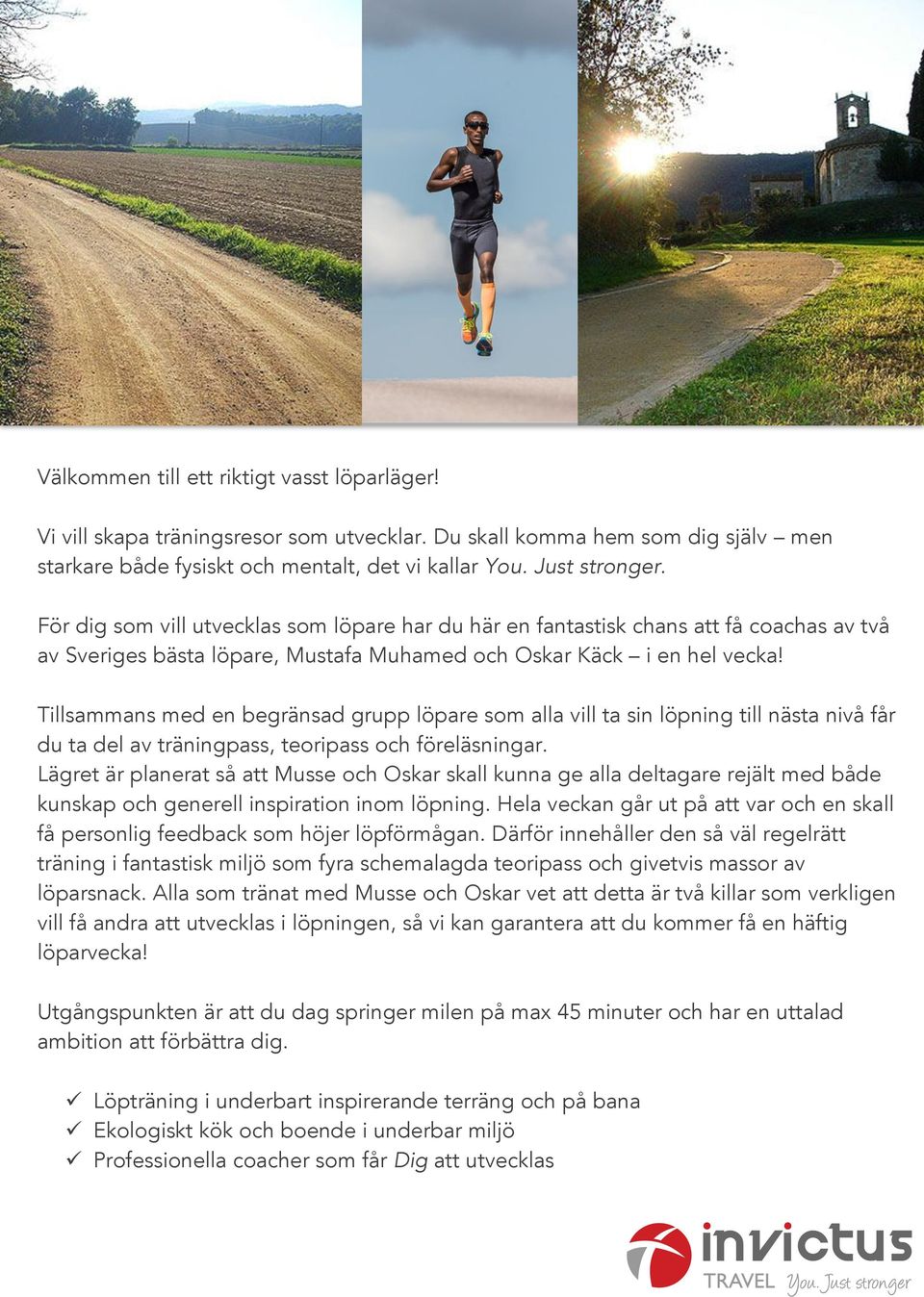 Tillsammans med en begränsad grupp löpare som alla vill ta sin löpning till nästa nivå får du ta del av träningpass, teoripass och föreläsningar.