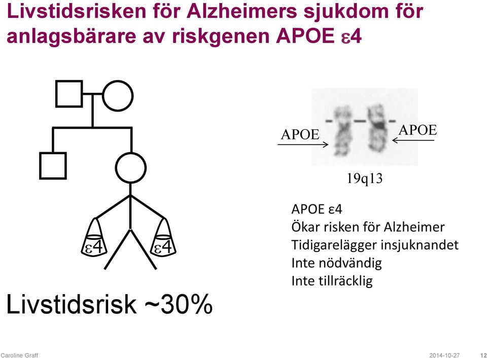 APOE ε4 Ökar risken för Alzheimer Tidigarelägger