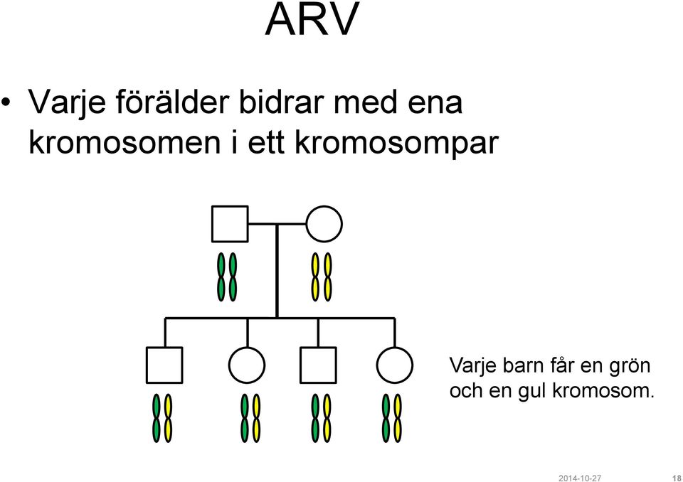 kromosompar Varje barn får en