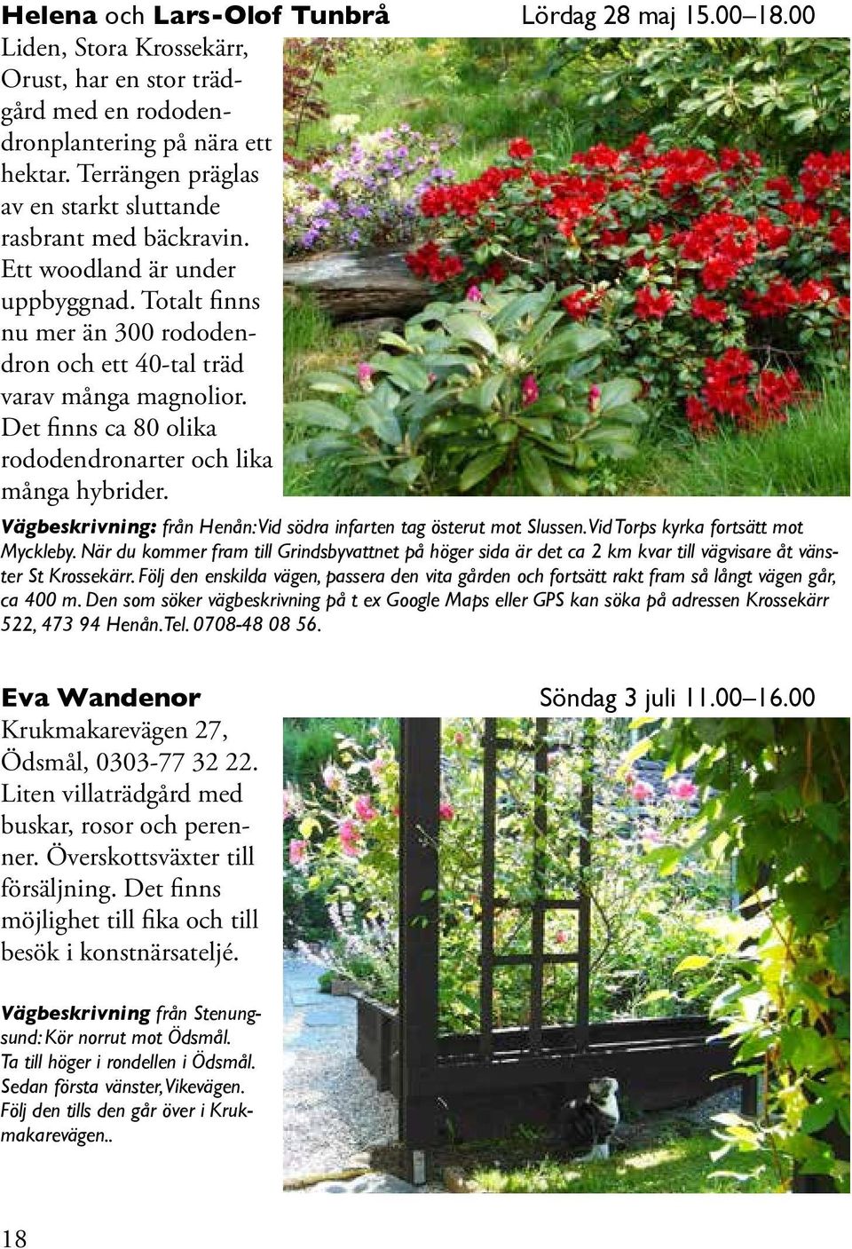 Det finns ca 80 olika rododendronarter och lika många hybrider. Vägbeskrivning: från Henån: Vid södra infarten tag österut mot Slussen. Vid Torps kyrka fortsätt mot Myckleby.