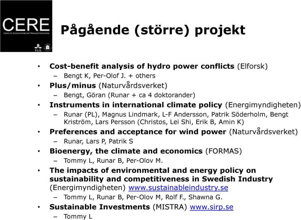 Söderholm, Bengt Kriström, Lars Persson (Christos, Lei Shi, Erik B, Amin K) Preferences and acceptance for wind power (Naturvårdsverket) Runar, Lars P, Patrik S Bioenergy, the climate and