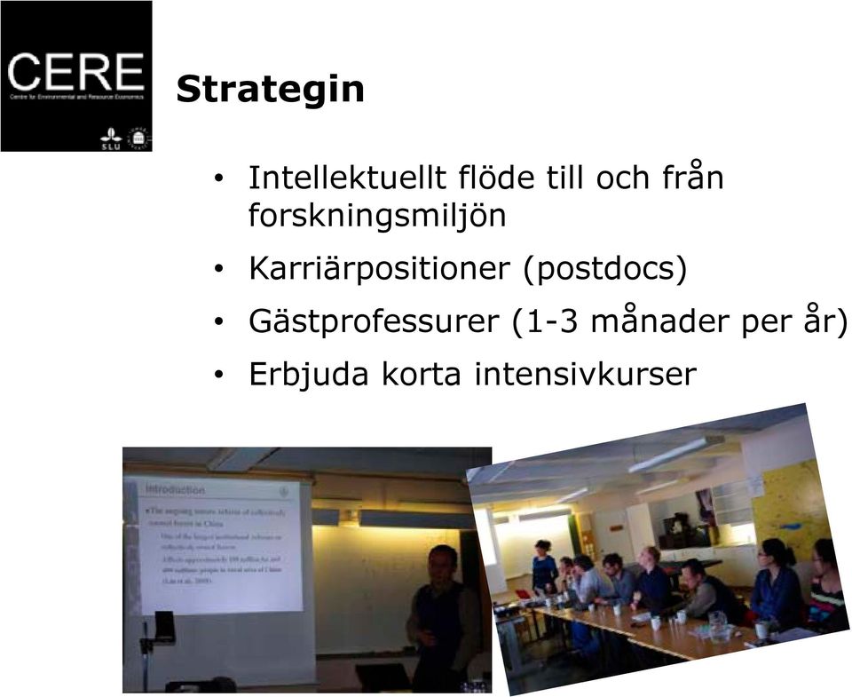 Karriärpositioner (postdocs)