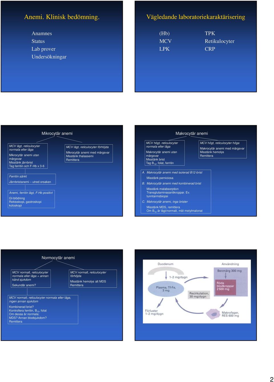 Mikrocytär anemi utan märgsvar Misstänk järnbrist Tag ferritin och F-Hb x 3-6 MCV lågt, reticulocyter förhöjda Mikrocytär anemi med märgsvar Misstänk thalassemi MCV högt, reticulocyter normala eller