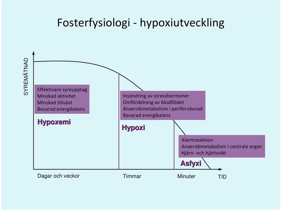 av blodflödet Anaerobmetabolism i perifervävnad Bevarad energibalans Hypoxi Alarmreaktion