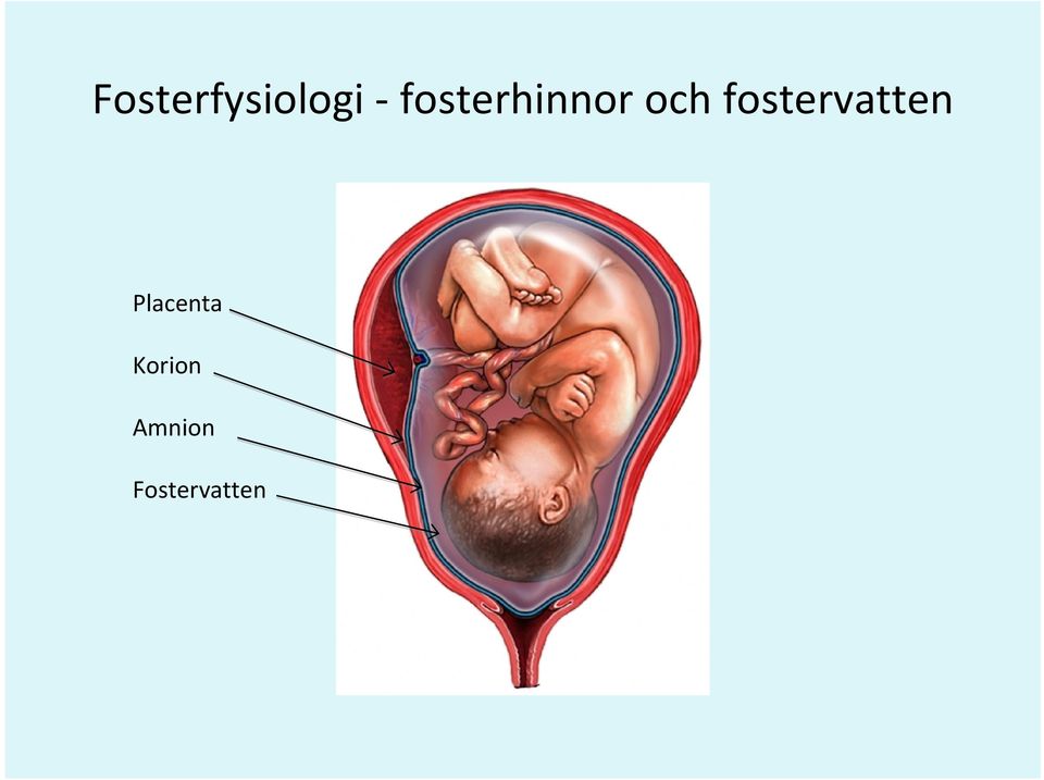 fostervatten