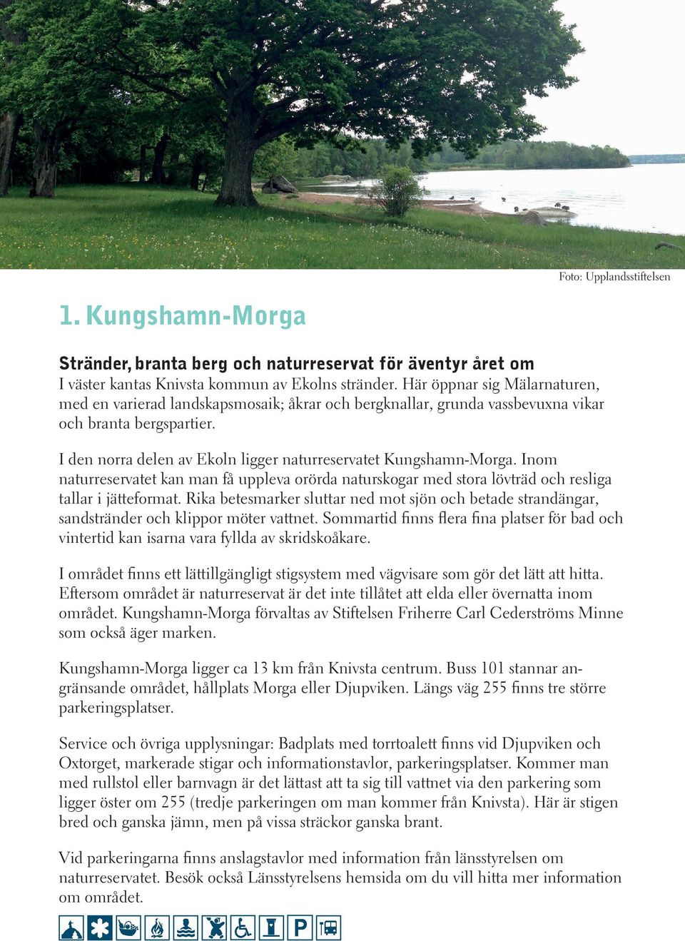 I den norra delen av Ekoln ligger naturreservatet Kungshamn-Morga. Inom naturreservatet kan man få uppleva orörda naturskogar med stora lövträd och resliga tallar i jätteformat.