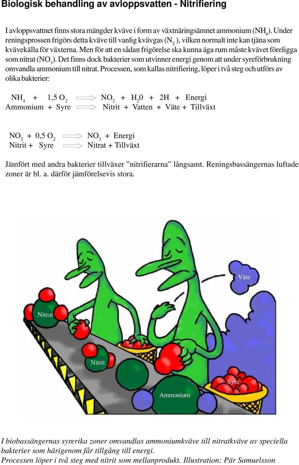 Men för att en sådan frigörelse ska kunna äga rum måste kvävet föreligga som nitrat (NO 3 ). Det finns dock bakterier som utvinner energi genom att under syreförbrukning omvandla ammonium till nitrat.