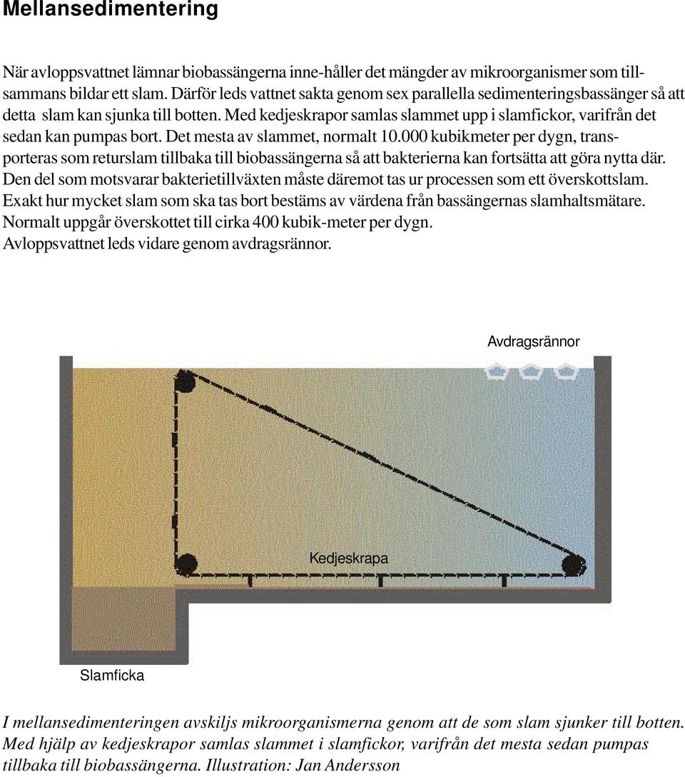 Det mesta av slammet, normalt 10.000 kubikmeter per dygn, transporteras som returslam tillbaka till biobassängerna så att bakterierna kan fortsätta att göra nytta där.